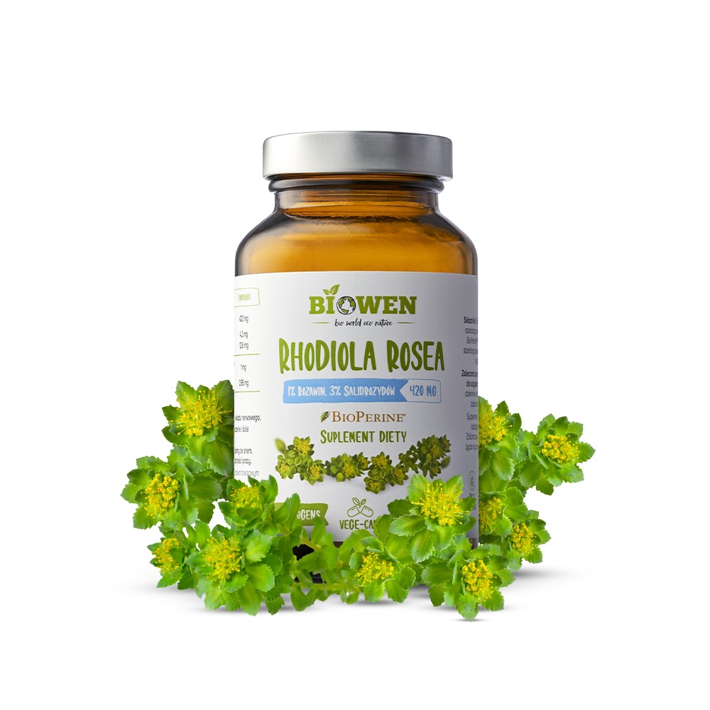 Rhodiola Rosea - 60 kapsułek - 420mg  BIOWEN