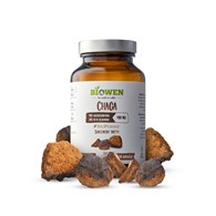 Chaga - 400mg - 90kaps