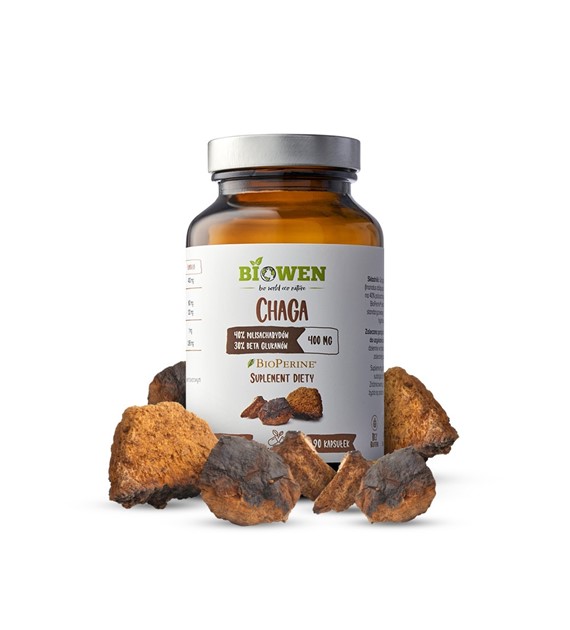Chaga - 400mg - 90 kapsułek